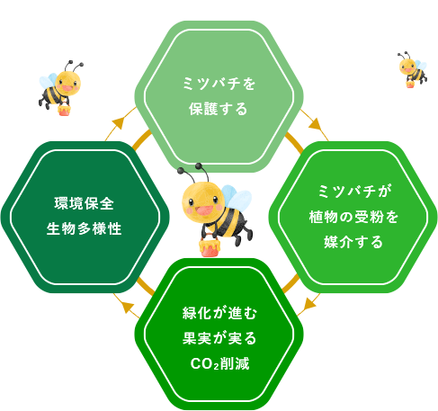 なぜ、サンエスが養蜂場・マルシェに取り組むのか？